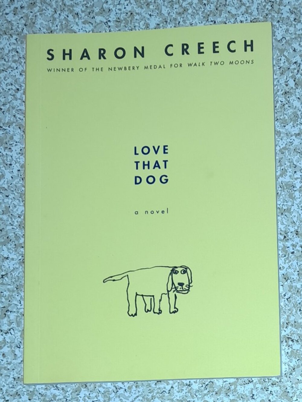 New HMH into Reading Book: Love That Dog by Sharon Creech